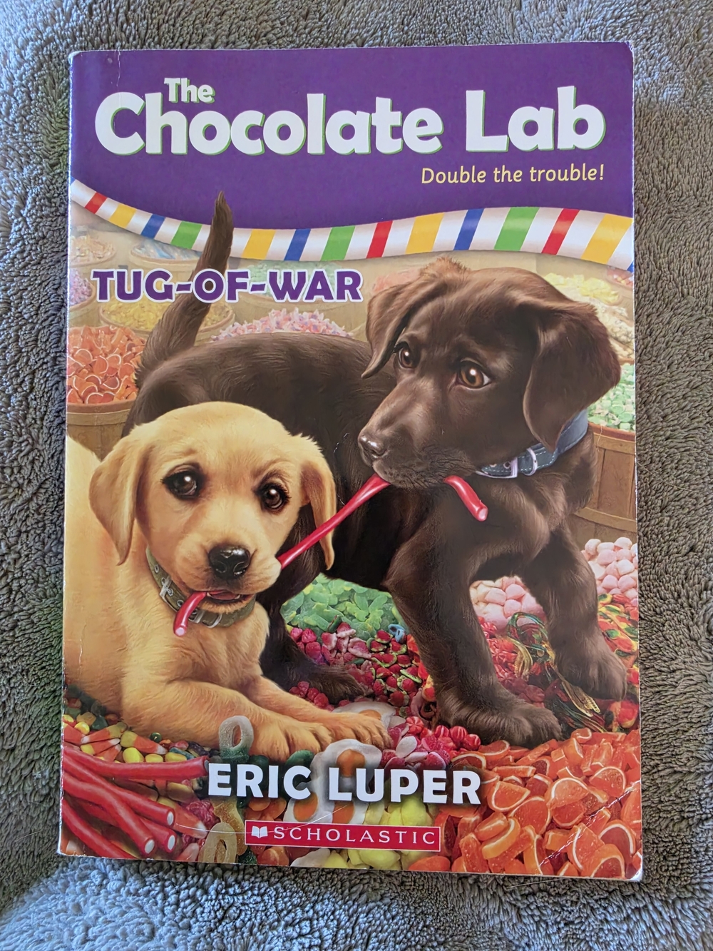 The Chocolate Lab: Tug-of-War by Eric Luper - Scholastic (Purple)